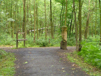 Rencontre bois de ferriere