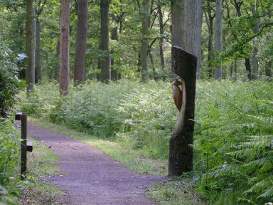 rencontre bois olhain