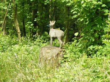 rencontre bois olhain