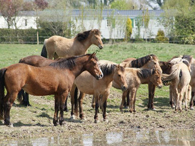 Rencontre 80400