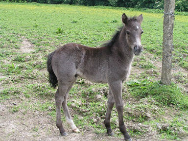 Rencontre 80400