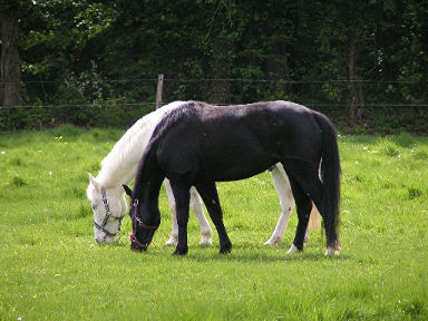 Rencontre 80400
