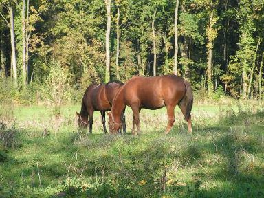 Rencontre 80400