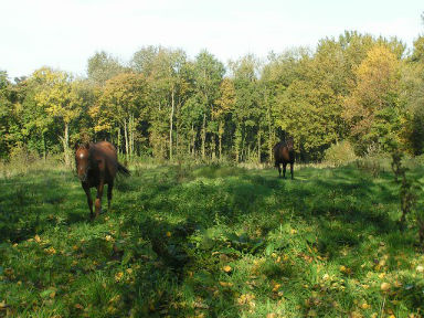 Rencontre 80400