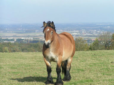 Rencontre 80400