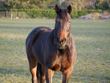 Rencontre 80400