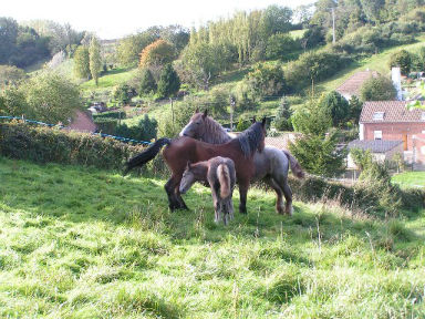 Rencontre 80400