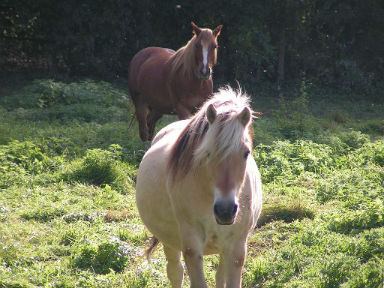 Rencontre 80400