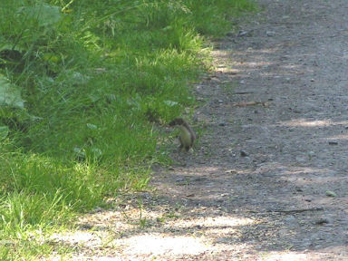 Rencontre ollioules